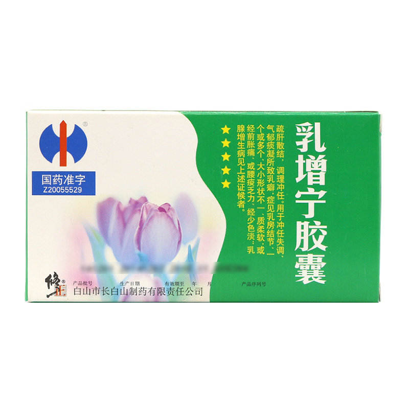《修正药业 乳增宁胶囊》说明书