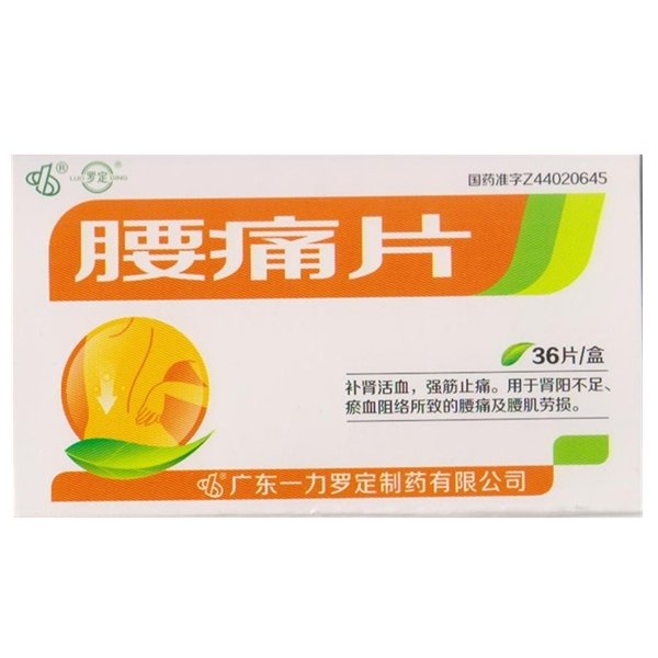 《广东一力 腰痛片》说明...