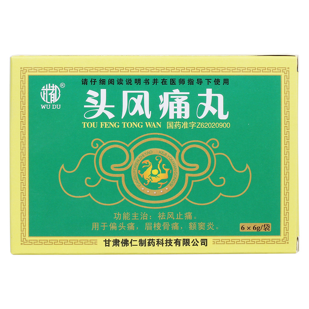 《甘肃佛仁 头风痛丸》说明书