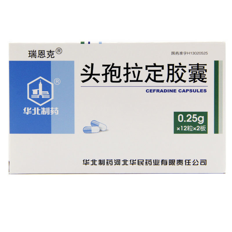 《华北制药河北华民药业 ...