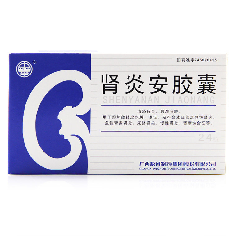 《中华 肾炎安胶囊》说明书