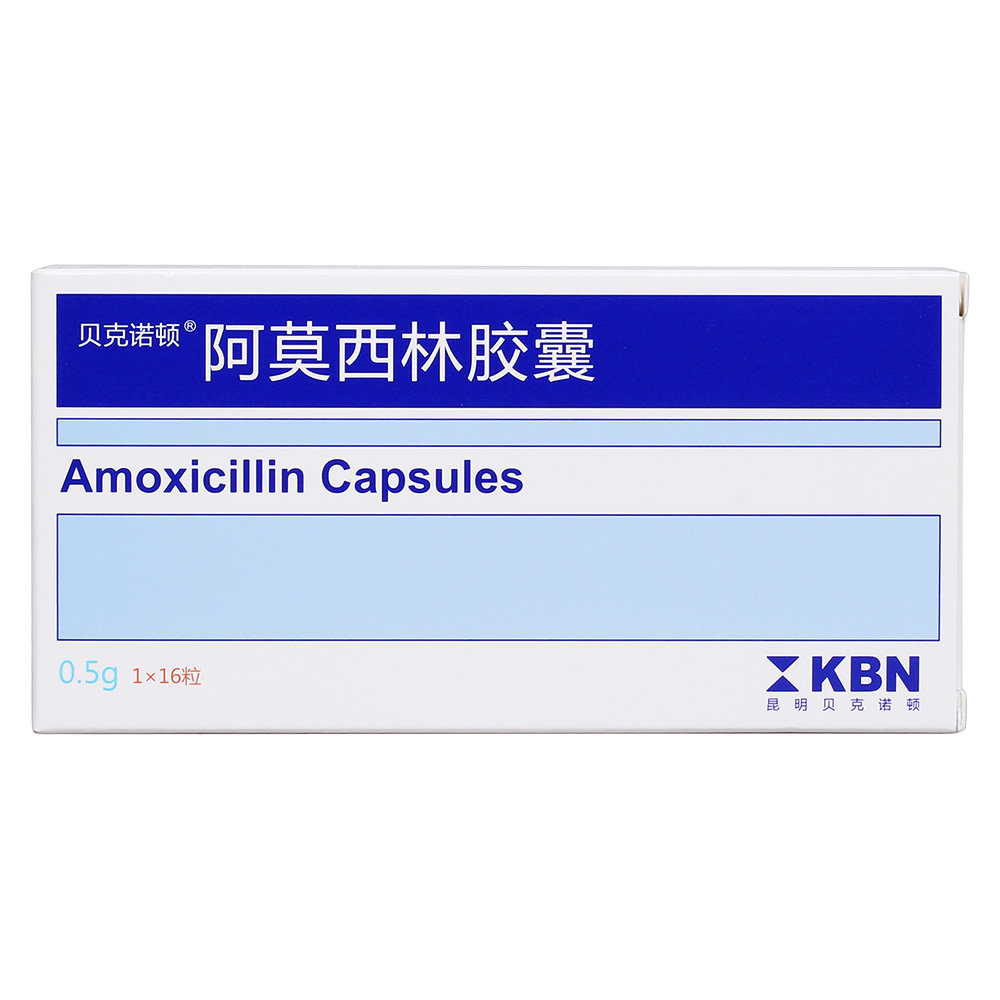 《贝克诺顿 阿莫西林胶囊》说明书