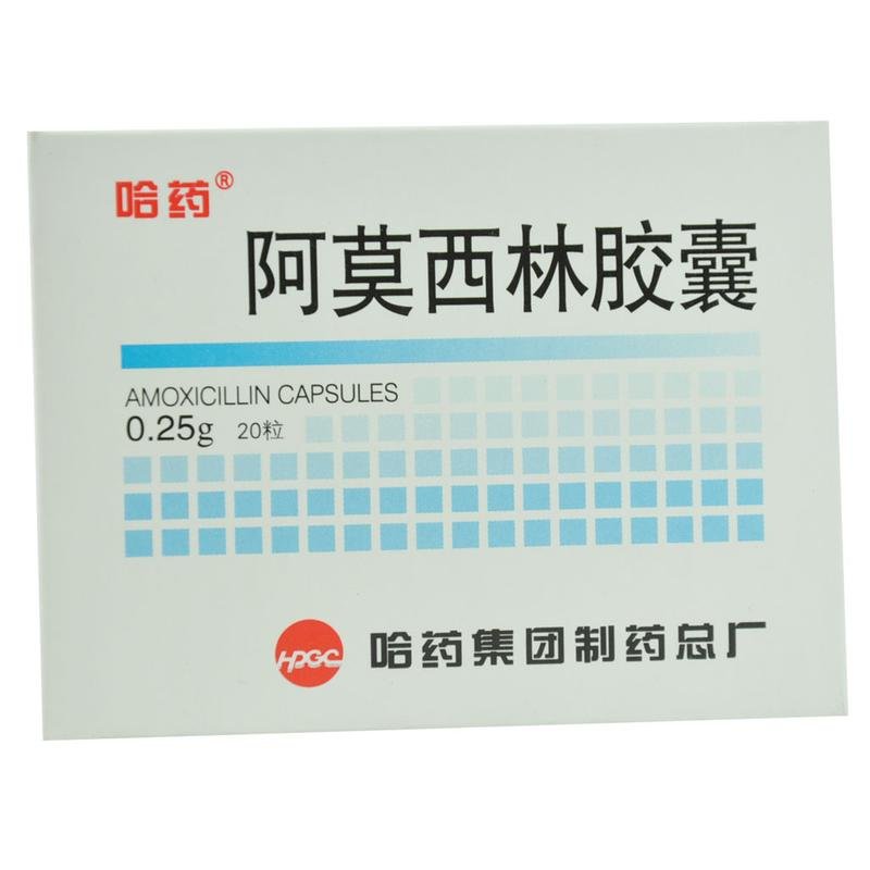 《哈药 阿莫西林胶囊》说明书