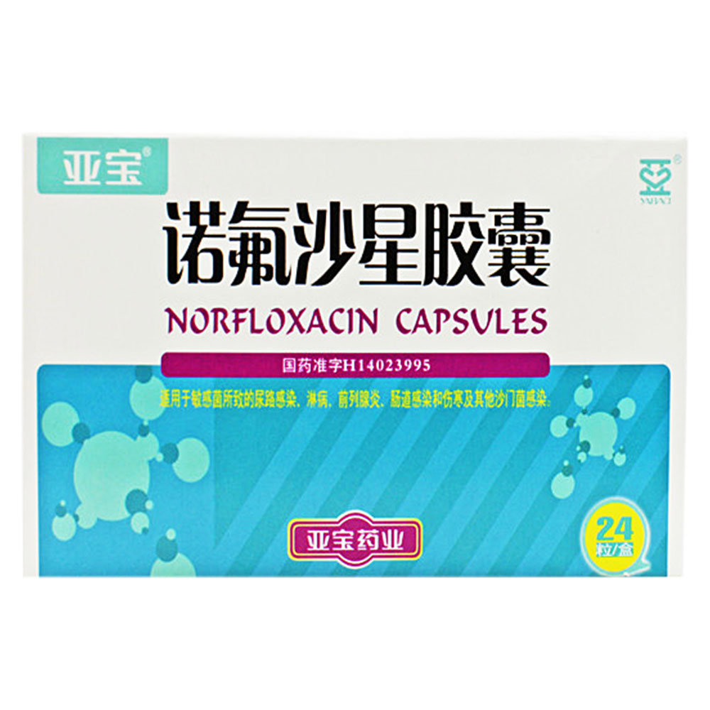 《亚宝药业 诺氟沙星胶囊...