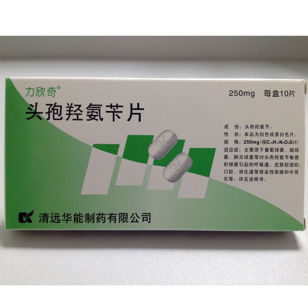 《力欣奇》说明书