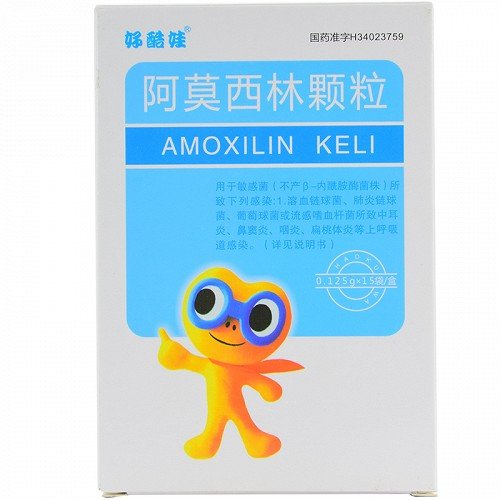 《上海邦宁 阿莫西林颗粒...