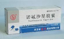 《辽宁华瑞联合 诺氟沙星胶囊》说明书