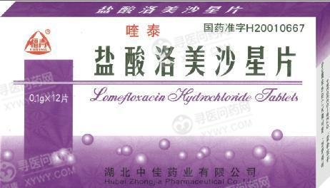 《湖北中佳 盐酸洛美沙星...