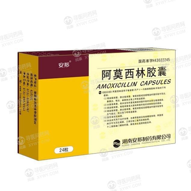 《湖南安邦 阿莫西林胶囊...