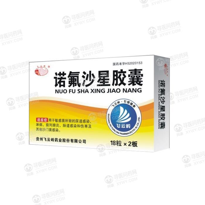 《贵州飞云岭 诺氟沙星胶...