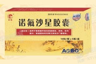 《吉林敖东延边 诺氟沙星...