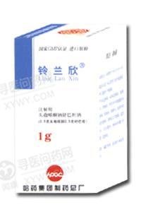 《铃兰欣》说明书