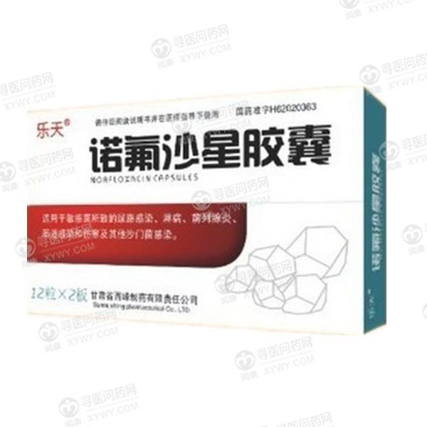 《甘肃西峰 诺氟沙星胶囊...