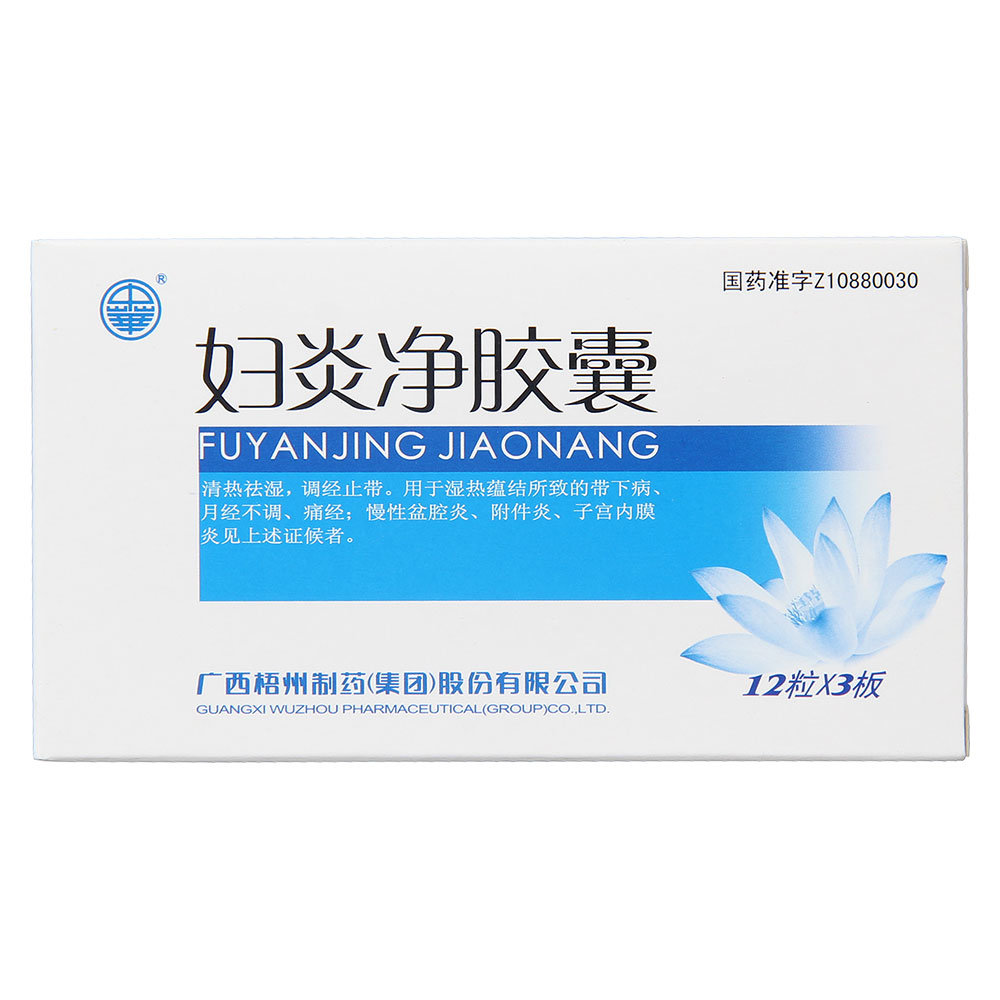 《中华 妇炎净胶囊》说明...