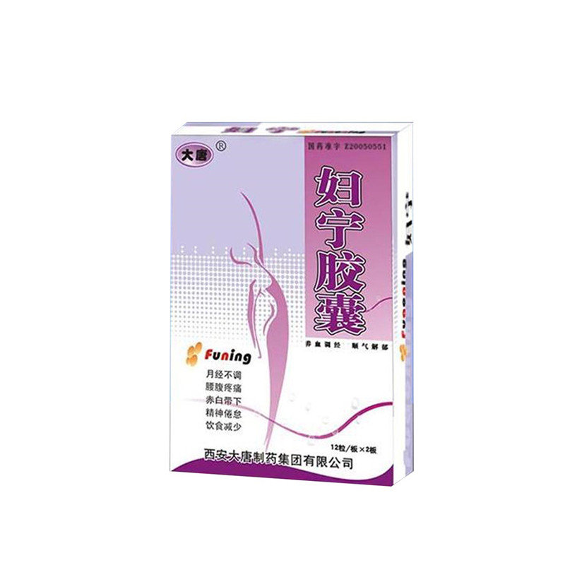 《西安大唐 妇宁胶囊》说明书