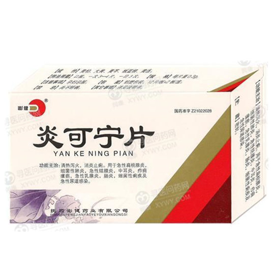 《辽宁澎健 炎可宁片》说...