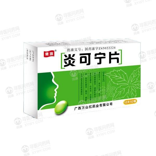 《广西宝瑞坦 炎可宁片》...