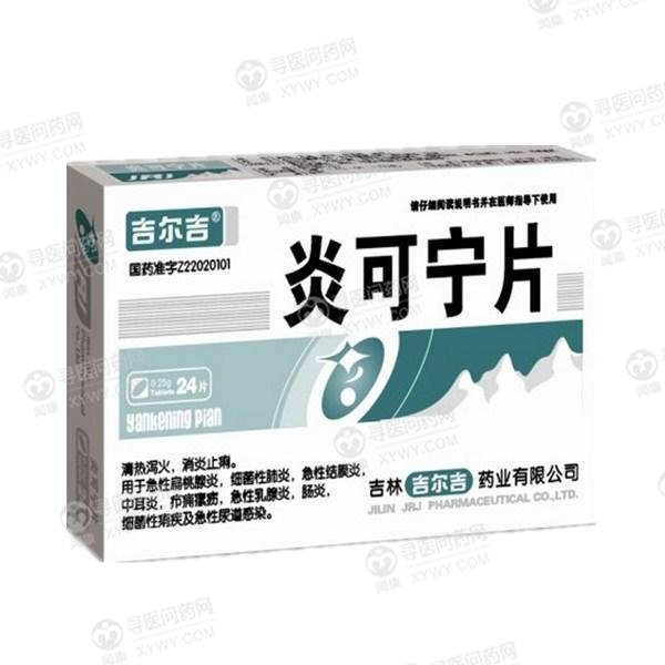 《吉林吉尔吉 炎可宁片》说明书