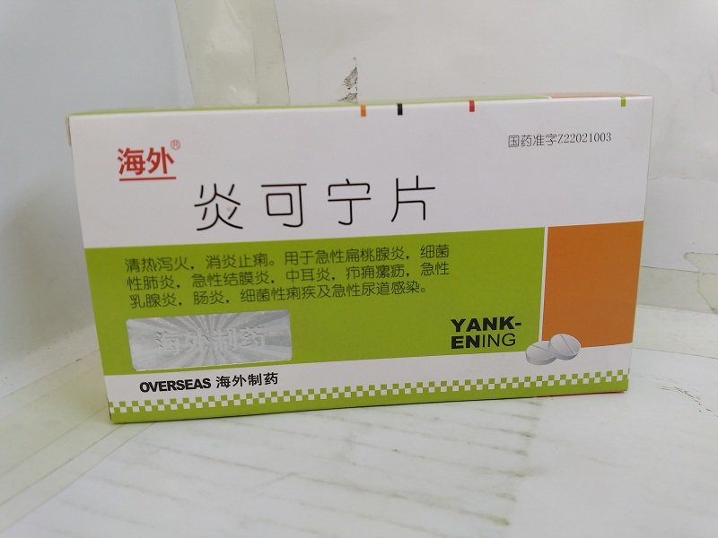 《海外制药 炎可宁片》说...