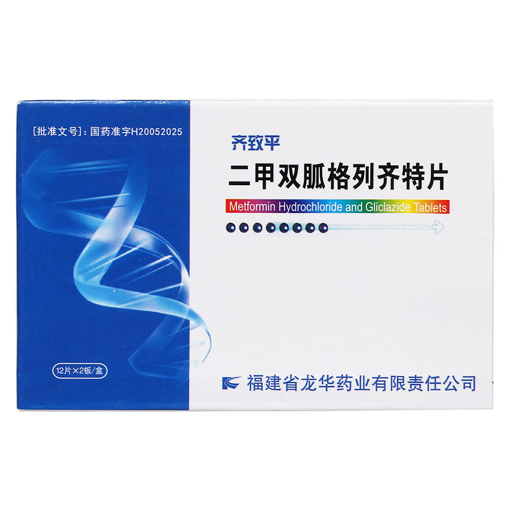 《齐致平》说明书