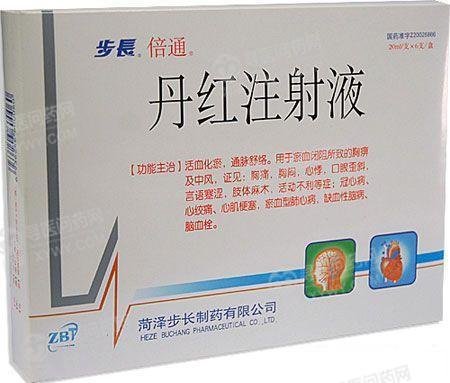 《步长 丹红注射液》说明书