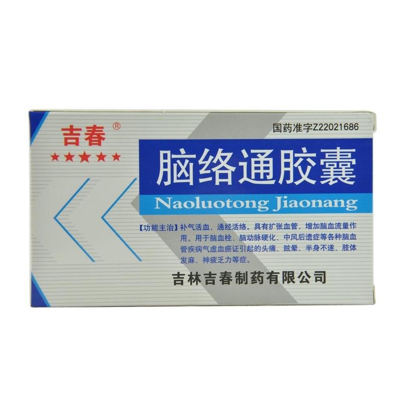 《吉春 脑络通胶囊》说明书