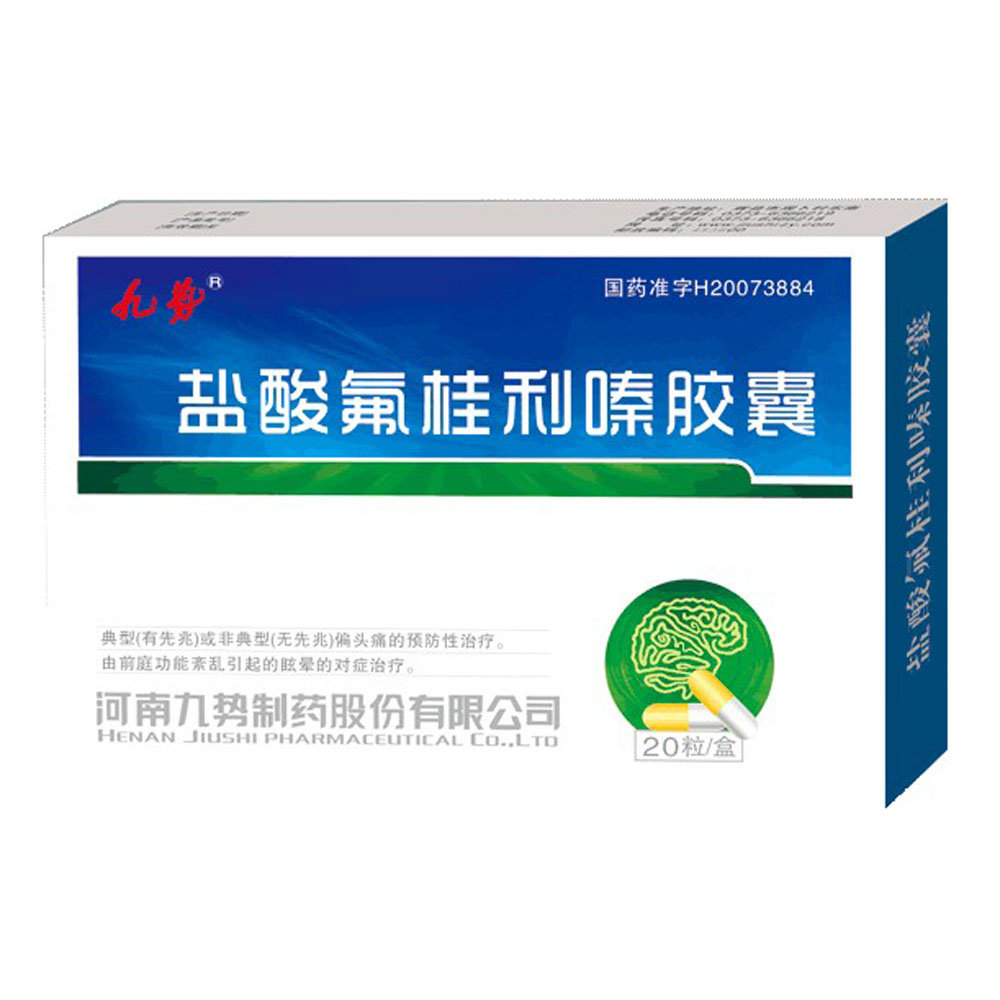 《河南九势制药 盐酸氟桂...