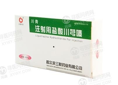 《仲景 通脉颗粒》说明书