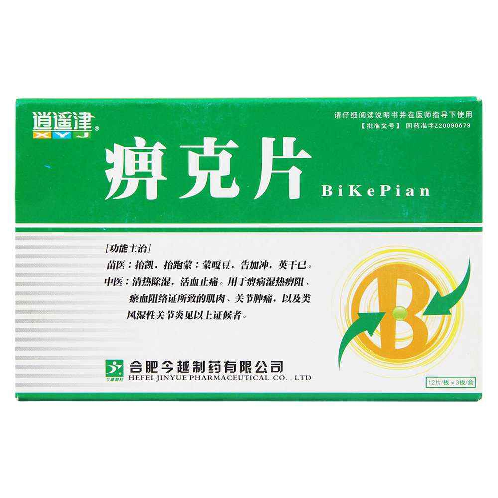 《逍遥津 痹克片》说明书