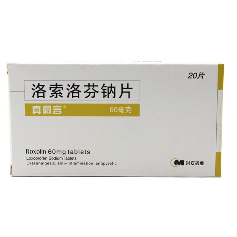 《真侗言》说明书