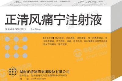 《湖南正清 正清风痛宁注...