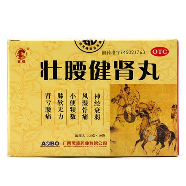 《壮腰健肾丸》说明书