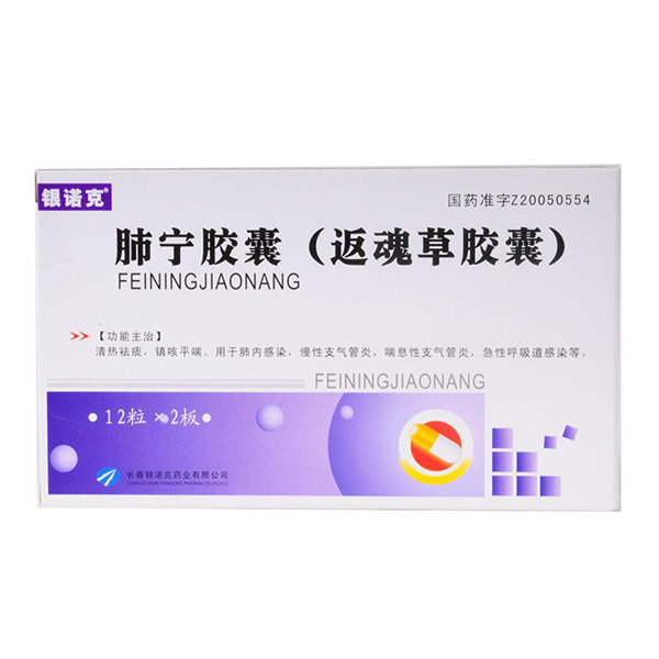 《普尔丁 肺宁片》说明书