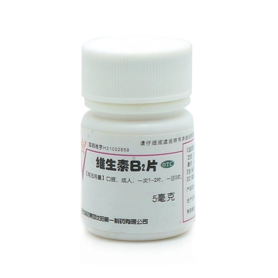《东北制药 维生素B2片》说明书