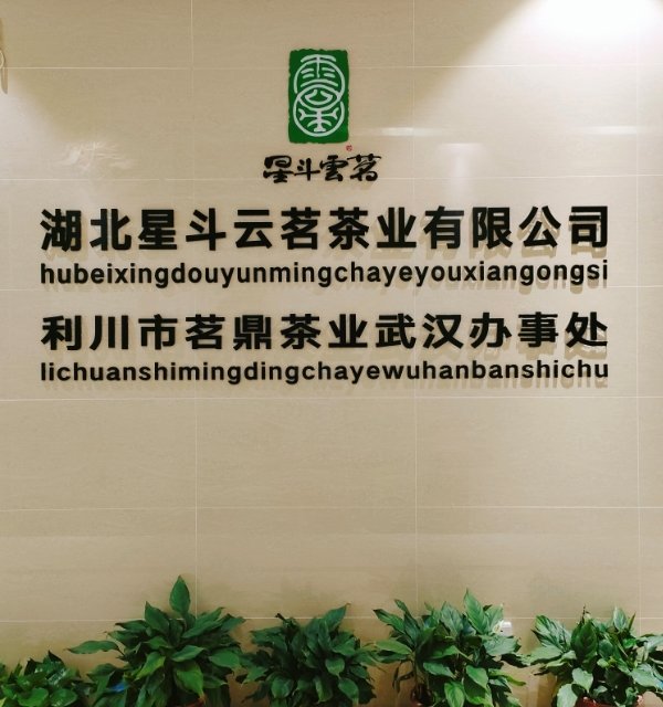 湖北星斗云茗茶业打造生态有机茶园基地1