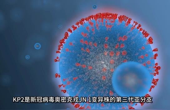 目前、新冠变异株KP.2...