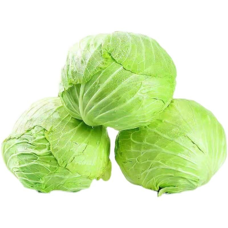 包菜怎么做好吃