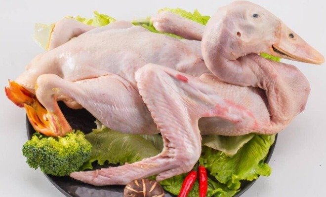 鸭肉怎么做好吃