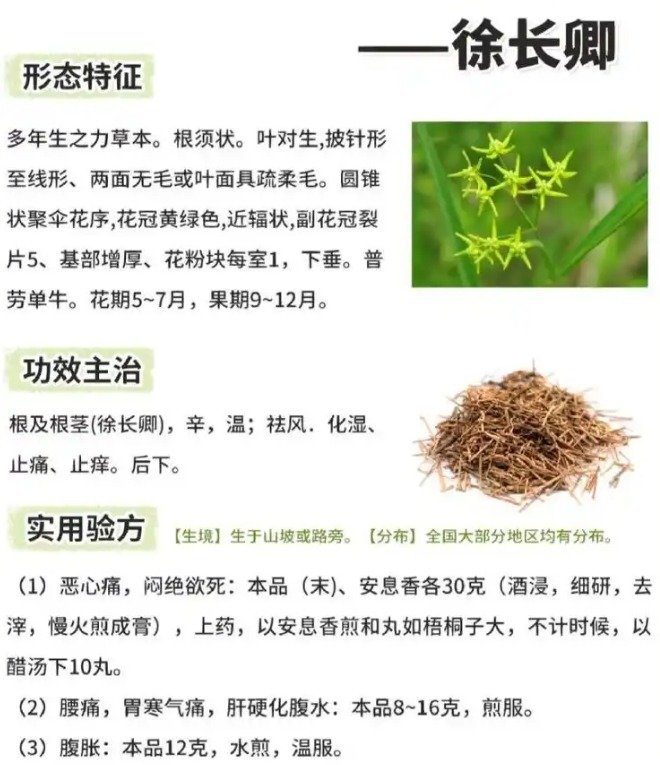 徐长卿可以长期服用吗