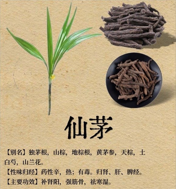 《本草纲目》草部：仙茅