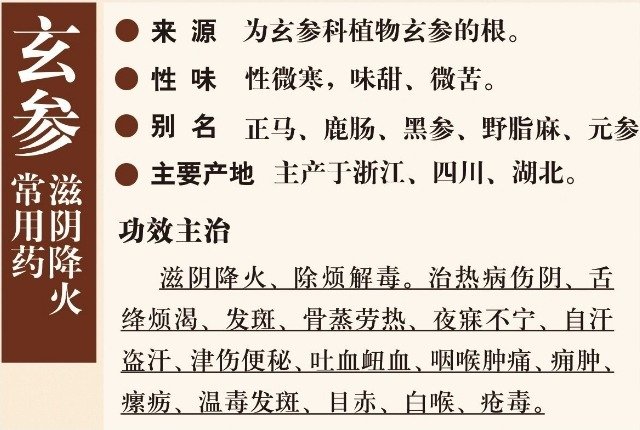 玄参的副作用和禁忌证有哪...