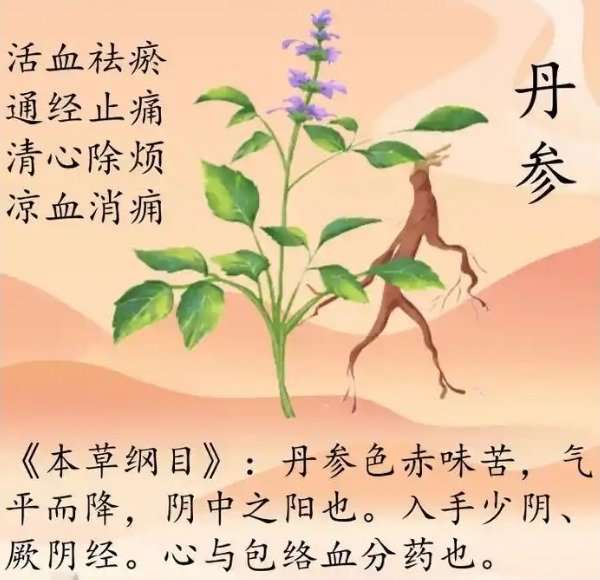 《本草纲目》草部：丹参
