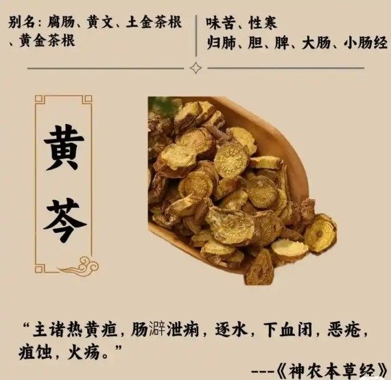 黄芩和黄岑有什么区别