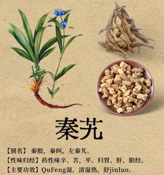 《本草纲目》草部：秦艽