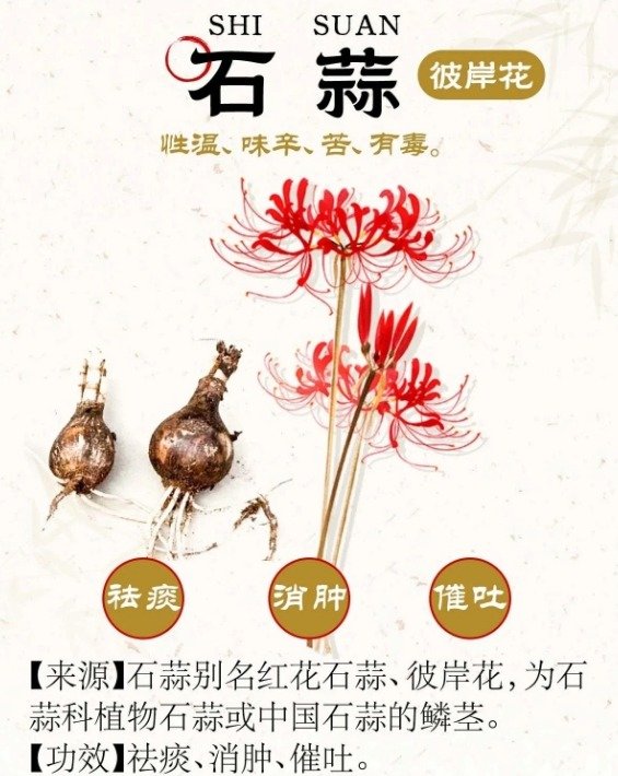 《本草纲目》草部：石蒜