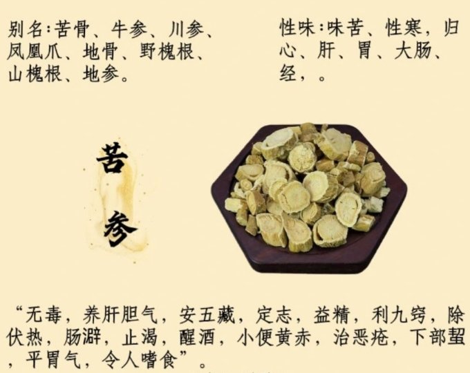 苦参可以长期使用吗
