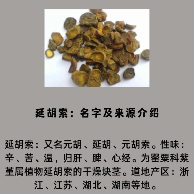 中药延胡索的副作用有哪些