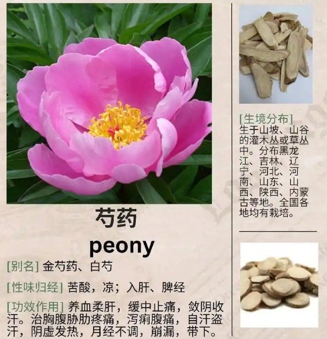 《本草纲目》草部：芍药