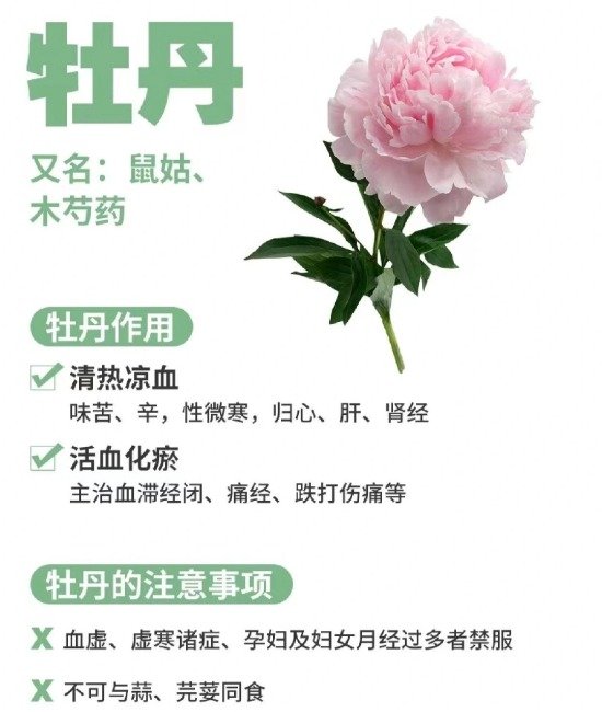 《本草纲目》草部：牡丹