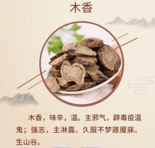 《本草纲目》草部：木香